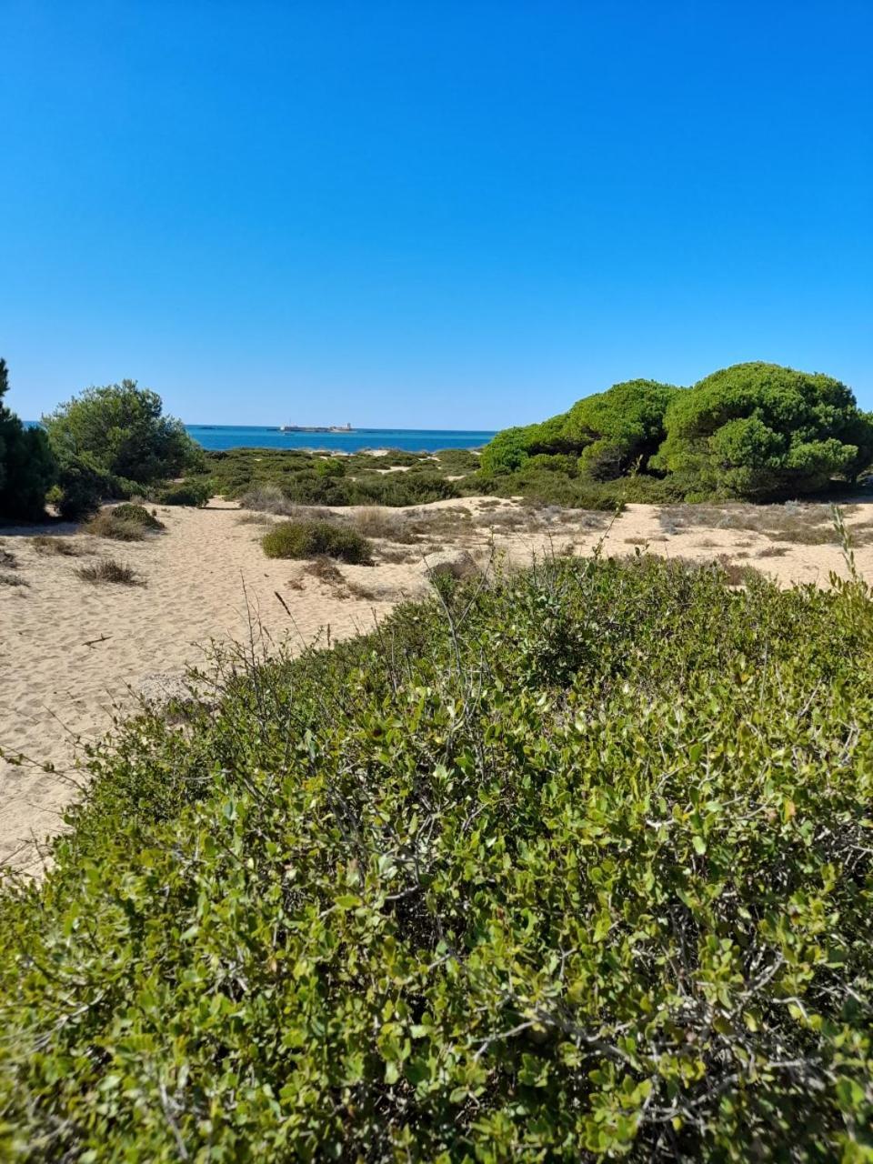 Apartamento Playa La Barrosa Chiclana de la Frontera Esterno foto