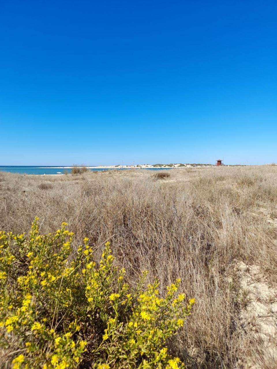 Apartamento Playa La Barrosa Chiclana de la Frontera Esterno foto